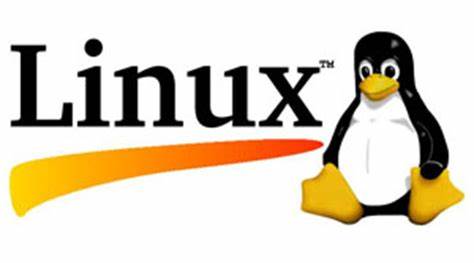 《Linux性能优化实战》学习总结：1-8讲